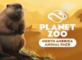 North American Animal Pack telah diungkapkan untuk Planet Zoo