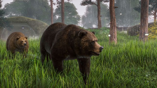 Bear menggesek pengunjung di Meksiko setelah makan malam mereka