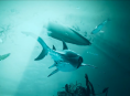 Trailer peluncuran Maneater tunjukkan kehidupan dari Hiu Putih Besar