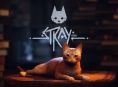 Stray sekarang tersedia di Xbox