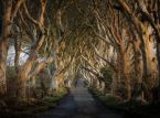 Pemerintah Irlandia bisa menebang Game of Thrones Dark Hedges yang terkenal