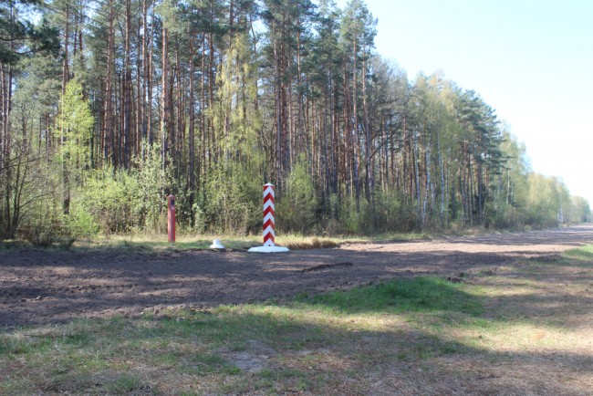 Polandia menembak jatuh drone Rusia setelah "sejumlah besar" melanggar wilayah udara