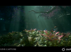 Trailer baru tunjukkan variasi bioma dari Outriders