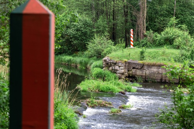 Zelensky menduga pelanggaran drone Rusia terhadap Polandia disengaja