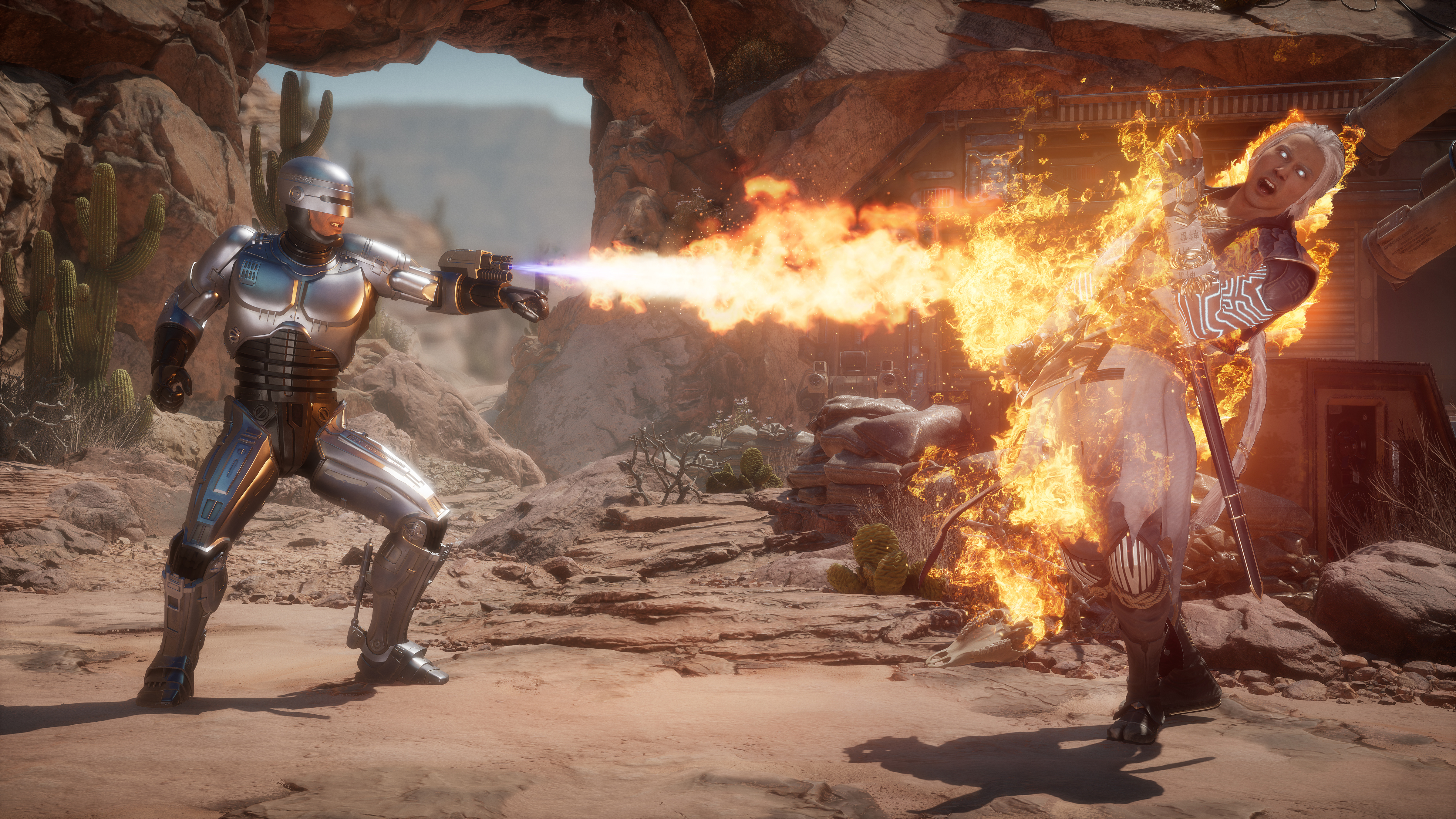 Mortal Kombat 11 Aftermath Купить