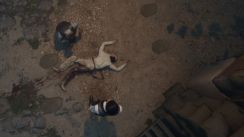 Related Image