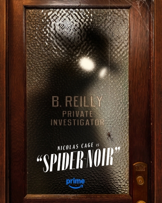 Spider Noir