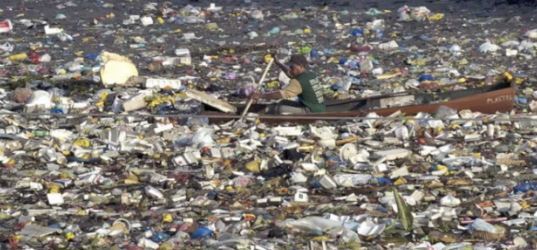 Great Pacific Garbage Patch telah menjadi ekosistem terapung