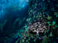 Dari pencipta Coraline datang Wildwood, ditetapkan untuk rilis bioskop pada bulan Oktober