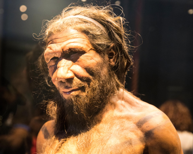 Studi menunjukkan Neanderthal jantan lebih sering kawin dengan manusia betina