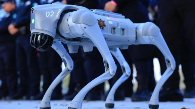 Anjing robot akan menjaga Piala Dunia 2026