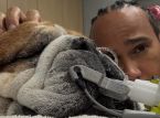 Anjing Lewis Hamilton, Roscoe, koma: Juara Formula 1 itu membagikan pesan yang menyentuh hati