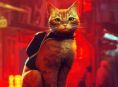 Stray sedang mendapatkan film animasi