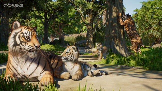 Planet Zoo 2 Pratinjau: Sekuel ambisius yang mengangkat formula Planet