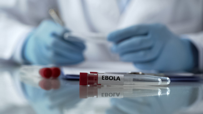 Organisasi Kesehatan Dunia (WHO) berpikir vaksin untuk strain terbaru Ebola bisa memakan waktu sembilan bulan untuk disiapkan