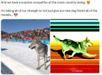 Akun resmi Olympics X diam-diam menghapus postingan lucu dari insiden anjing yang viral namun cukup berbahaya