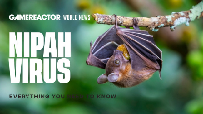 Semua yang perlu Anda ketahui tentang virus Nipah setelah India mengkonfirmasi dua kasus