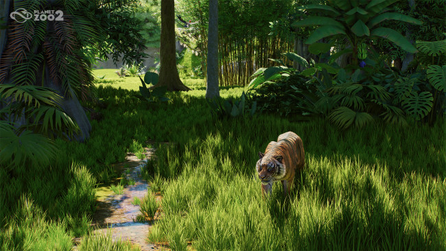 Planet Zoo 2