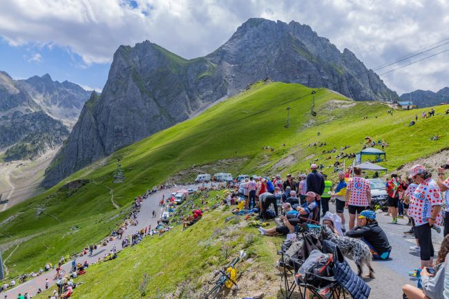 Tour de France mempersingkat Etape 19 karena penyakit menular pada sapi