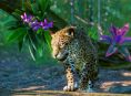 Planet Zoo sambut lima fauna baru dari Amerika Selatan