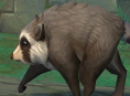 Rakun viral Jimothy akan datang ke World of Warcraft 