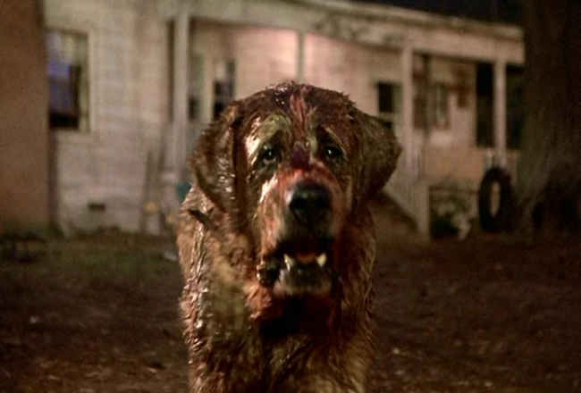 Netflix merencanakan remake dari Cujo karya Stephen King