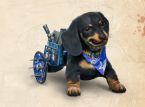Kamu bisa memiliki pendamping anjing Wiener di Far Cry 6
