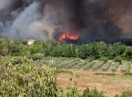 Kebakaran hutan terburuk sejak 1949 menyebar di Prancis