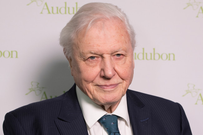 Sir David Attenborough menerima pesan ulang tahun yang "luar biasa" saat dia berusia 100 tahun