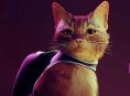 Stray mendengkur ke Xbox One dan Xbox Series pada bulan Agustus