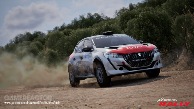 Assetto Corsa Rally
