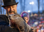 Punxsutawney Phil memprediksi enam minggu musim dingin lagi untuk AS pada Groundhog Day
