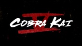 Cobra Kai Season 5 - Pengumuman Tanggal